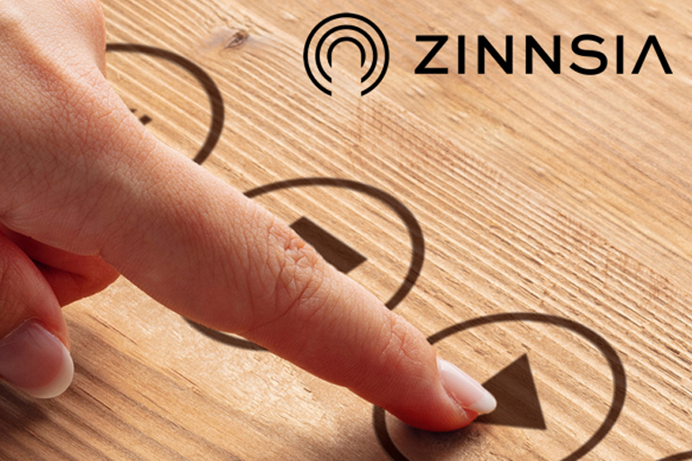 ZINNSIA Portfolio